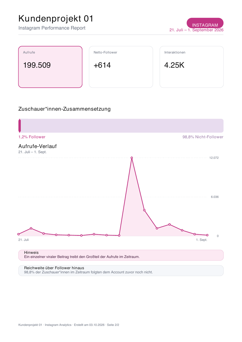 Anonymisierte Berichtsseite 2: Instagram-Kennzahlen, Zuschauerzusammensetzung und Aufrufe-Verlauf von Kundenprojekt 01